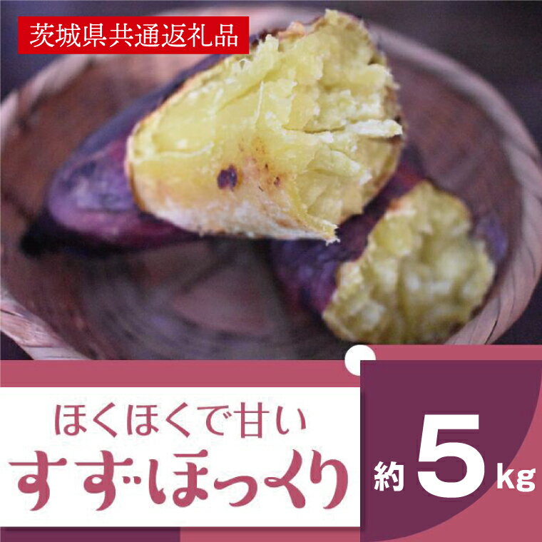 [11月発送開始]ホクホクで甘いさつまいも すずほっくり5kg(茨城県共通返礼品・行方市産)