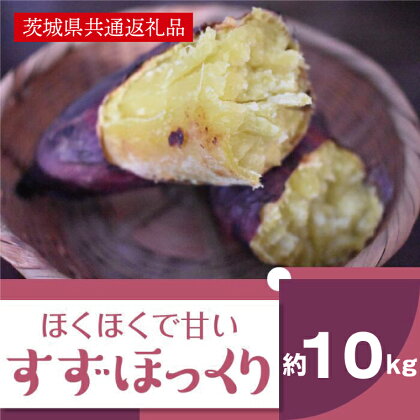 【11月発送開始】ホクホクで甘いさつまいも すずほっくり10kg（茨城県共通返礼品・行方市産）（AK006）