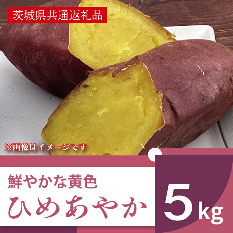 [11月発送開始]鮮やかな黄色のさつまいも ひめあやか5kg(茨城県共通返礼品・行方市産)