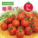 【ふるさと納税】珊瑚トマト 3kg【野菜 トマト とまと ミニトマト みにとまと フルーツトマト 新鮮 リコピン ビタミン】(AX101)