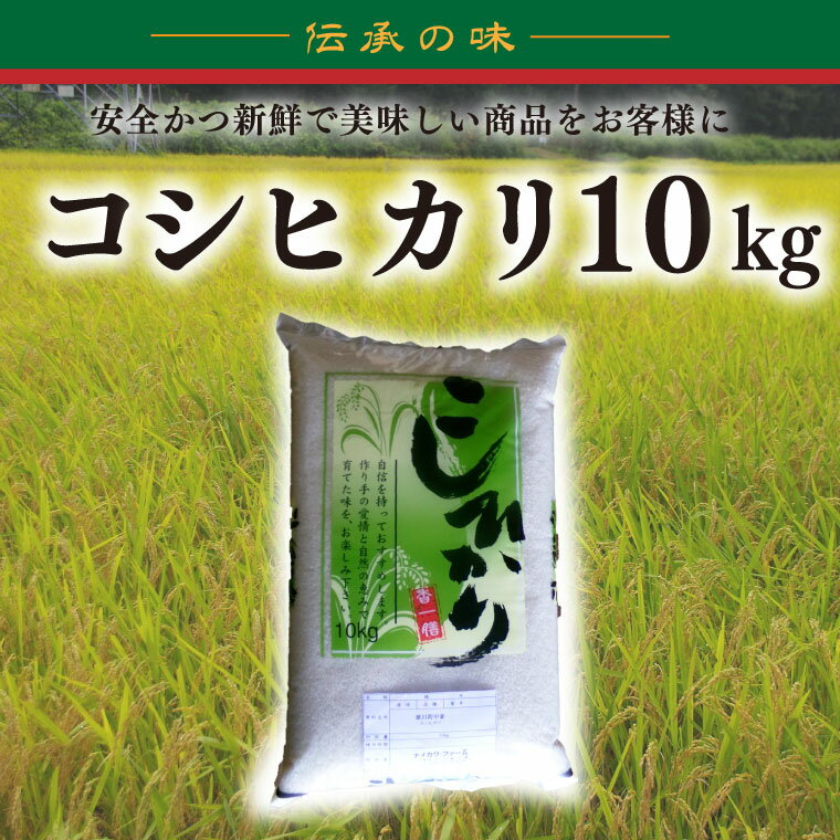 【ふるさと納税】コシヒカリ　10kg（BD003）