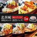【ふるさと納税】北茨城BBQセット【バーベキュー お肉 海鮮 ファミリー グループ セット】(BE105)