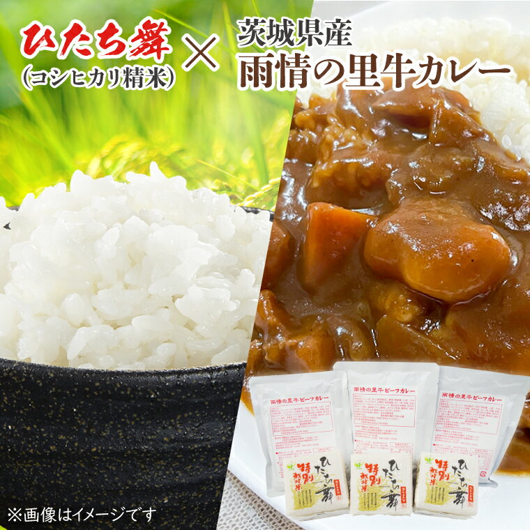 【ふるさと納税】ひたち舞（コシヒカリ精米）・雨情の里牛カレー