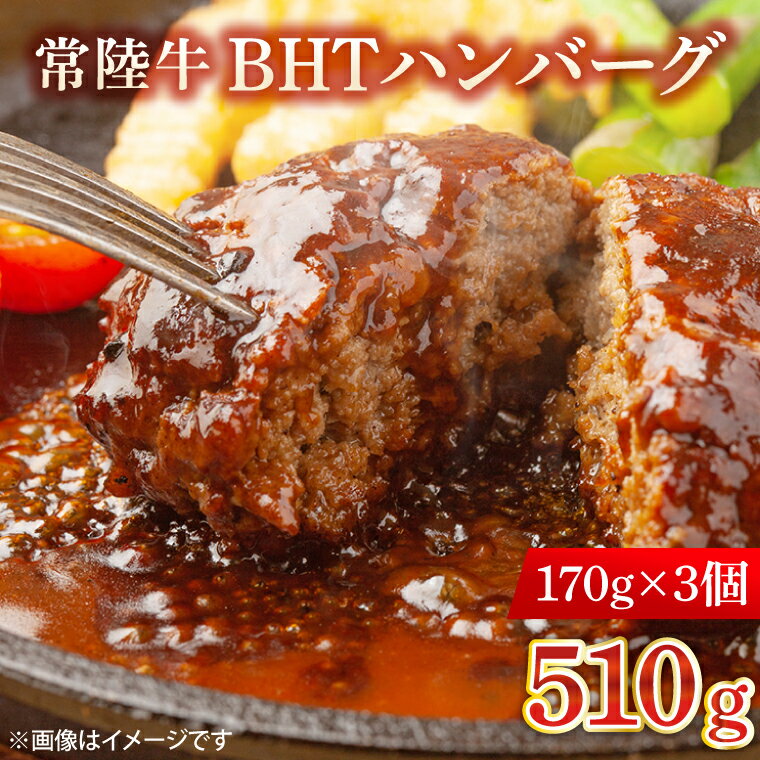 常陸牛 BHTハンバーグ