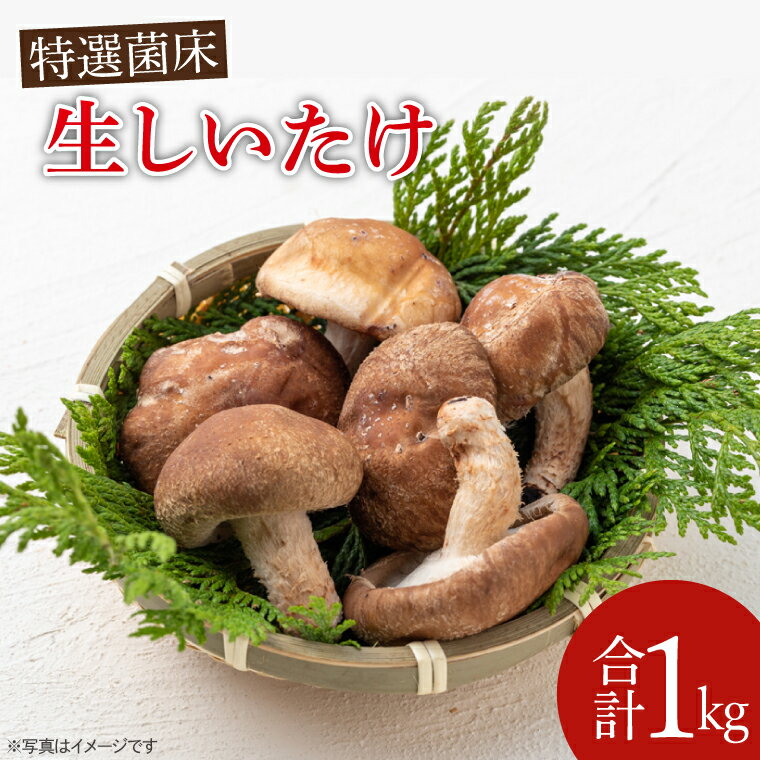 【ふるさと納税】特選菌床生しいたけ1kg【椎茸 シイタケ 肉厚 無農薬】(CE102)