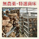 茨城県北茨城市の画像3
