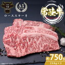【ふるさと納税】最高級A4.A5ランク 常陸牛ロースステーキ750g(250g×3)【人気肉 お肉 牛肉 和牛 黒毛和牛 国産黒毛和牛 ロース肉 ステーキ 国産牛 焼肉 焼き肉 バーベキュー BBQ A5 ブランド牛】(CR102)