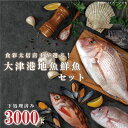 【ふるさと納税】飲食店『食彩太信』店主が選ぶ!大津港地魚鮮魚セット 下処理済み【賞味期限:到着後、冷蔵保存で3日間】(AA205)
