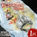 【ふるさと納税】【ふるさと納税限定】あんこうザウルスBBQセット(AM211)