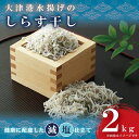 【ふるさと納税】大津港水揚げのしらす干し2kg（1kg×2個）シラス（AS001）