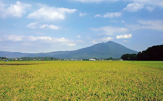 【ふるさと納税】無洗米!茨城県産コシヒカリ10...の紹介画像3