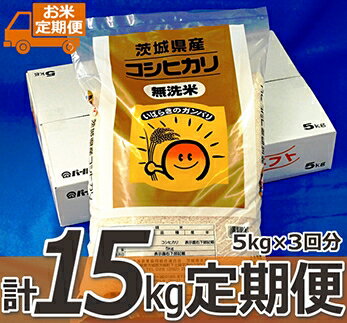 記事ID36443のサムネイル画像