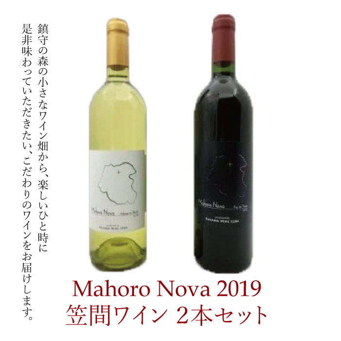 【ふるさと納税】BQ-3【MahoroNova2019】笠間ワイン(2本セット)