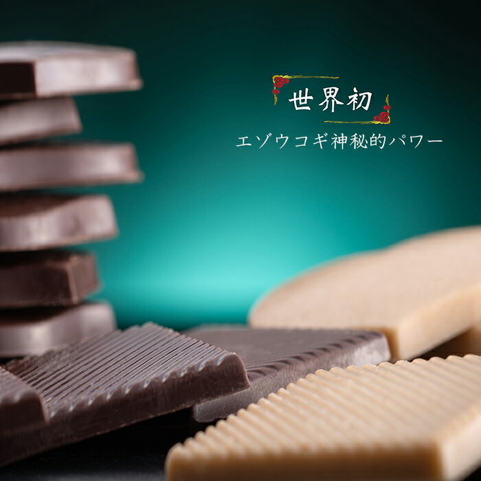 【ふるさと納税】チョコレート 詰め合わせ 24枚入り 森の恵