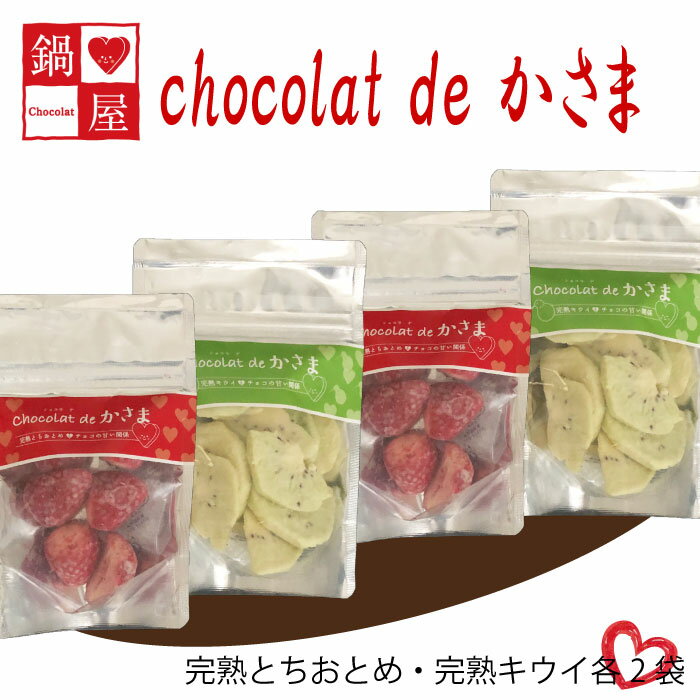 【ふるさと納税】Chocolat de かさま おかしな果実