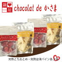 7位! 口コミ数「0件」評価「0」Chocolat de かさま おかしな果実ショコラ 完熟とちおとめ・台湾パインセット