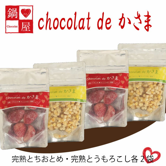 22位! 口コミ数「0件」評価「0」Chocolat de かさま おかしな果実ショコラ 完熟とちおとめ・とうもろこしセット