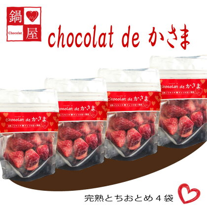 Chocolat de かさま おかしな果実ショコラ 完熟とちおとめの詰め合わせ