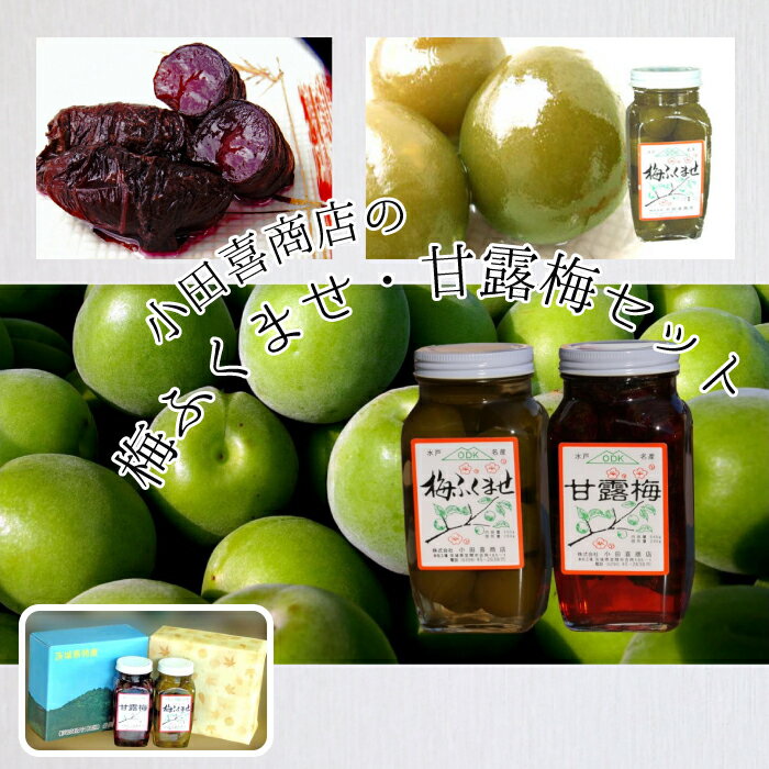 【ふるさと納税】梅ふくませ・甘露梅セットのサムネイル