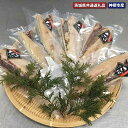 【ふるさと納税】 大トロ さば文化干し 6枚 茨城県共通返礼品・神栖市産 