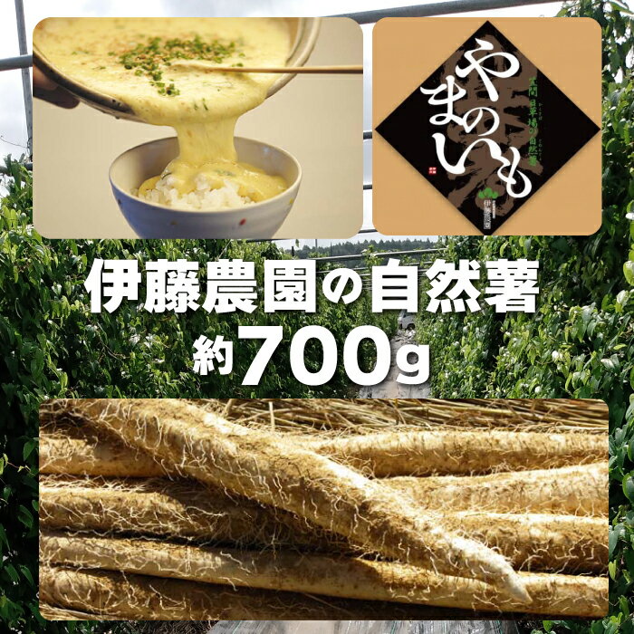 自然薯 カット 約700g 伊藤農園