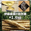 【ふるさと納税】 自然薯 約1.6kg 伊藤農園