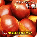 【ふるさと納税】【先行予約】アカツファ－ムの生栗 3L 1kg 栗 笠間 その1