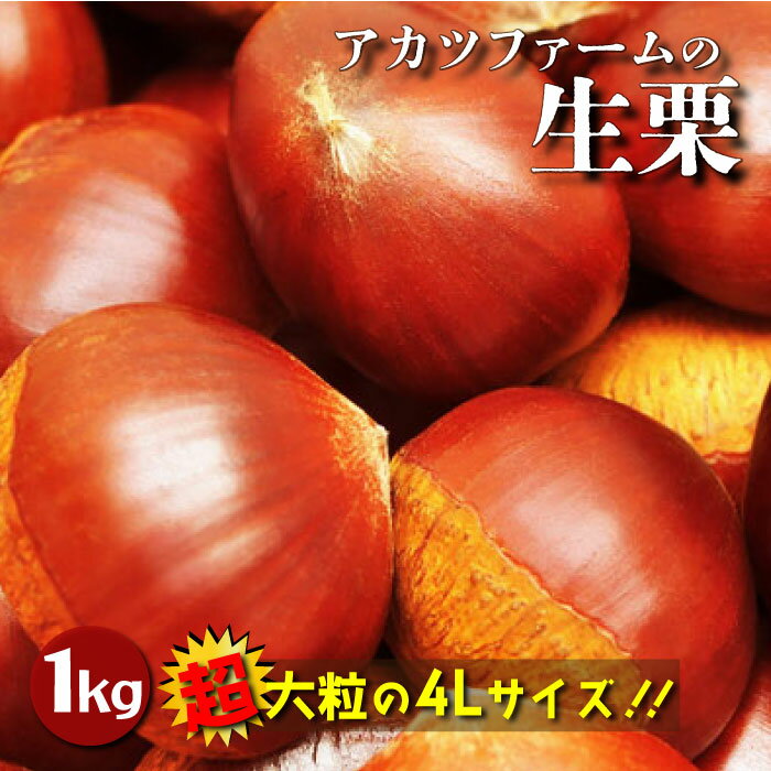 【先行予約】 超大粒の4Lサイズ！！！ 【手間を惜しまない選別】 栗は虫食いがおきやすい作物です。 せっかくアカツファームの栗を選んでくれたお客様に、美味しく召し上がっていただく為に 栗を出荷する際には、極力虫食いの栗を出さない様にアカツファーム独自の選別をおこないます。 それは拡大ルーペを使って、わずかな虫食いの穴も肉眼でチェックし選別すること。 とても手間がかかりますが、やっぱり人の目による確認が一番です。 昼間は栗を収穫し、夜は深夜までルーペによる選別。 収穫期は本当に大変ですが、最高の栗だけをお届けするため きびしく選別しています。 【ご注意事項】 ※しっかりとチェックして虫食いを選別し、きれいな栗をお届けできるよう努めておりますが、まれに混在してしまう場合がございます。 ご了承頂きたく、よろしくお願いいたします。 提供：アカツファーム ・ふるさと納税よくある質問はこちら ・寄付申込みのキャンセル、返礼品の変更・返品はできません。あらかじめご了承ください。超大粒の4Lサイズ！！！ 【手間を惜しまない選別】 栗は虫食いがおきやすい作物です。 せっかくアカツファームの栗を選んでくれたお客様に、美味しく召し上がっていただく為に 栗を出荷する際には、極力虫食いの栗を出さない様にアカツファーム独自の選別をおこないます。 それは拡大ルーペを使って、わずかな虫食いの穴も肉眼でチェックし選別すること。 とても手間がかかりますが、やっぱり人の目による確認が一番です。 昼間は栗を収穫し、夜は深夜までルーペによる選別。 収穫期は本当に大変ですが、最高の栗だけをお届けするため きびしく選別しています。 【ご注意事項】 ※しっかりとチェックして虫食いを選別し、きれいな栗をお届けできるよう努めておりますが、まれに混在してしまう場合がございます。 ご了承頂きたく、よろしくお願いいたします。 提供：アカツファーム 「ふるさと納税」寄付金は、下記の事業を推進する資金として活用してまいります。 寄付を希望される皆さまの想いでお選びください。 (1)　まちづくり支援事業 (2)　子ども支援事業 (3)　芸術・文化支援事業 (4)　いずれの事業でもよい ご希望がなければ、市政全般に活用いたします。 入金確認後、注文内容確認画面の【注文者情報】に記載の住所にお送りいたします。 発送の時期は、寄付確認後翌月以内を目途に、お礼の特産品とは別にお送りいたします。