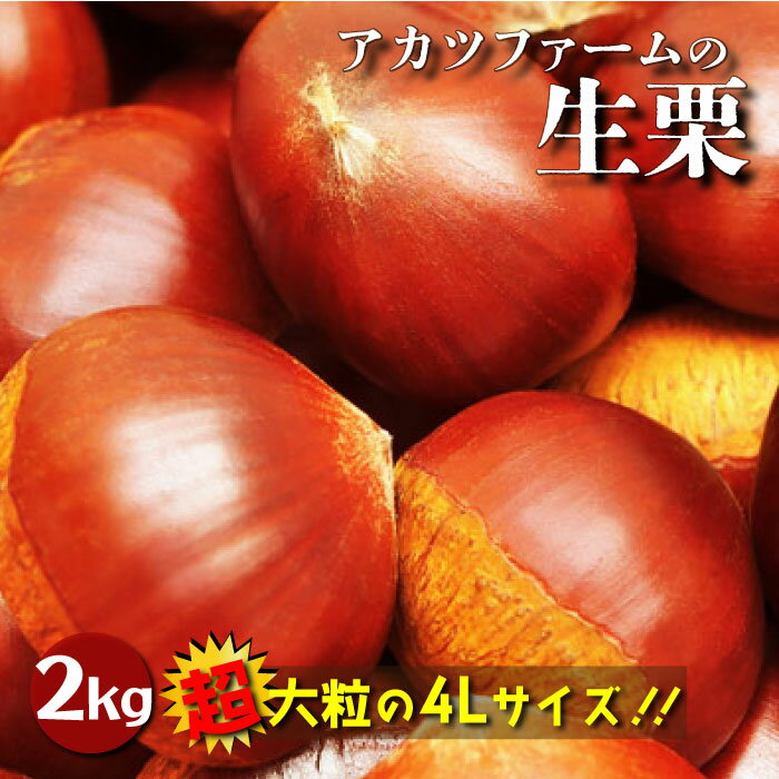 27位! 口コミ数「1件」評価「5」【先行予約】アカツファ－ムの生栗 4L 2kg 笠間 茨城県