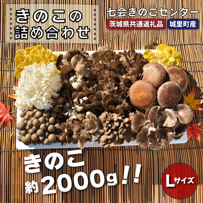 農事組合法人　七会きのこ生産組合では、品種改良がほとんどされていない種菌を積極的に使用し、天然物に近いきのこを栽培しています。 材料の元となるおが粉から検査し、完全室内栽培・栽培中は農薬を不使用、厳しい品質管理を行い、パック詰めまで、一連の工程をすべて行っております。 お味噌汁や鍋もの、炒め物にも最適です。幻のきのことも呼ばれるはなびら茸も入ったボリュウームたっぷりのきこの詰め合わせです。 丁寧に愛情込めて栽培したきのこは、どれもきれいで栄養満点です。七会きのこ生産組合が栽培する、安心・安全で美味しいきのこをぜひお召し上がりください。 【キノコの種類】 舞茸、椎茸、あわび茸、たもぎ茸、はなびら茸 ※季節によって品種が変わる可能性がございます。 ■原材料・成分 舞茸、椎茸、あわび茸、たもぎ茸、はなびら茸 ■注意事項/その他 ※画像はイメージ画像となります。 ※お礼品の重さは、キノコの大きさにより多少前後する可能性もありますがご了承くださいませ。 ※季節によって品種が変わる可能性がございます。 提供：農事組合法人　七会きのこ生産組合　（茨城県共通返礼品・城里町産） 商品説明 名称 きのこの詰め合わせLサイズ 産地名 茨城県 内容量 きのこの詰め合わせ　Lサイズ[2,000g] 配送方法 冷蔵 保存方法 発送日より　冷蔵保存で約1週間 ※到着後は、なるべくお早めにお召し上がりください。 発送期日 寄附納入確認後1ヶ月以内に発送します。 ・ふるさと納税よくある質問はこちら ・寄付申込みのキャンセル、返礼品の変更・返品はできません。あらかじめご了承ください。農事組合法人　七会きのこ生産組合では、品種改良がほとんどされていない種菌を積極的に使用し、天然物に近いきのこを栽培しています。 材料の元となるおが粉から検査し、完全室内栽培・栽培中は農薬を不使用、厳しい品質管理を行い、パック詰めまで、一連の工程をすべて行っております。 お味噌汁や鍋もの、炒め物にも最適です。幻のきのことも呼ばれるはなびら茸も入ったボリュウームたっぷりのきこの詰め合わせです。 丁寧に愛情込めて栽培したきのこは、どれもきれいで栄養満点です。七会きのこ生産組合が栽培する、安心・安全で美味しいきのこをぜひお召し上がりください。 【キノコの種類】 舞茸、椎茸、あわび茸、たもぎ茸、はなびら茸 ※季節によって品種が変わる可能性がございます。 ■原材料・成分 舞茸、椎茸、あわび茸、たもぎ茸、はなびら茸 ■注意事項/その他 ※画像はイメージ画像となります。 ※お礼品の重さは、キノコの大きさにより多少前後する可能性もありますがご了承くださいませ。 ※季節によって品種が変わる可能性がございます。 提供：農事組合法人　七会きのこ生産組合　（茨城県共通返礼品・城里町産） 「ふるさと納税」寄付金は、下記の事業を推進する資金として活用してまいります。 寄付を希望される皆さまの想いでお選びください。 (1)　まちづくり支援事業 (2)　子ども支援事業 (3)　芸術・文化支援事業 (4)　いずれの事業でもよい ご希望がなければ、市政全般に活用いたします。 入金確認後、注文内容確認画面の【注文者情報】に記載の住所にお送りいたします。 発送の時期は、寄付確認後翌月以内を目途に、お礼の特産品とは別にお送りいたします。