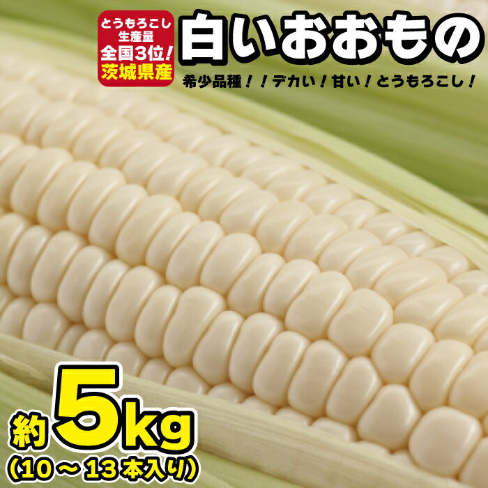 【ふるさと納税】とうもろこし 白いおおもの 5kg