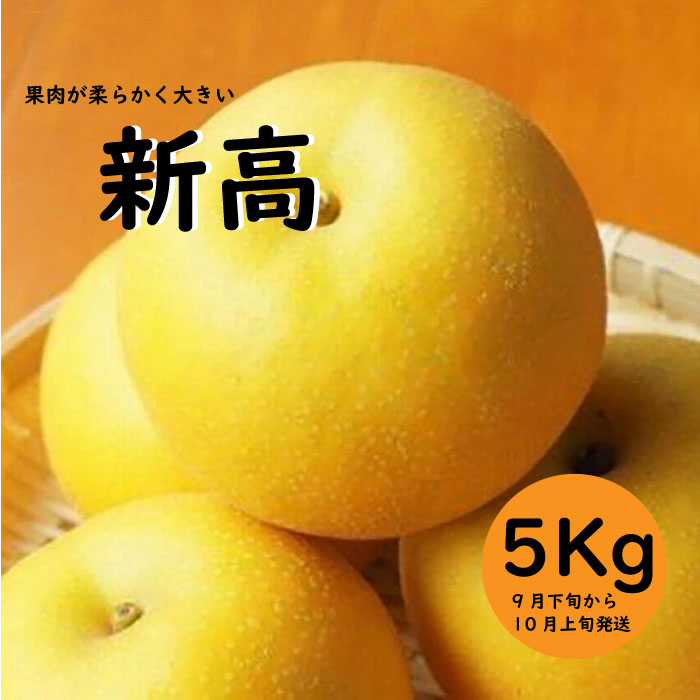 【ふるさと納税】柴沼梨園の梨（新高）5kg 3L～7Lサイズ 6～14個入りのサムネイル