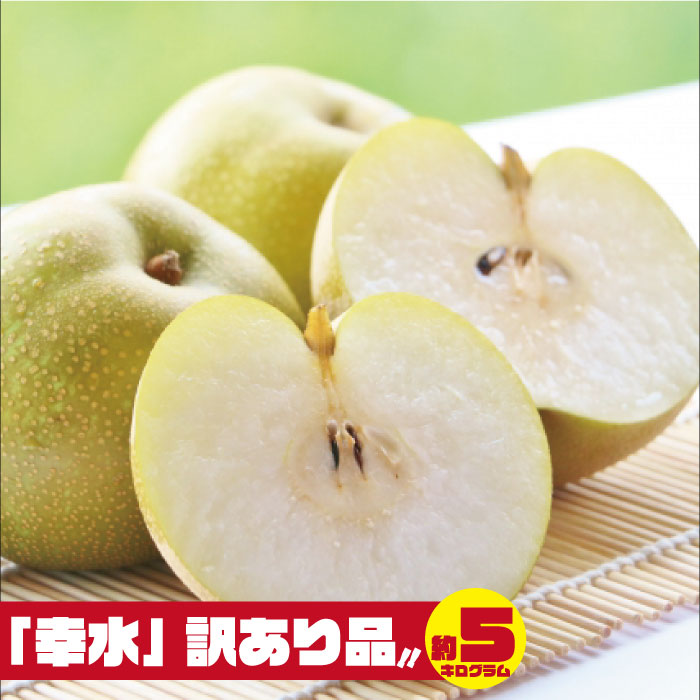 【ふるさと納税】【訳あり品】梨 幸水 5kg 柴沼梨園のサムネイル