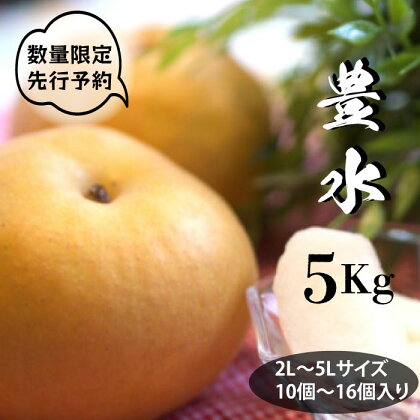【先行予約】柴沼梨園の梨（豊水）5kg 2L～5Lサイズ 10～16個入り