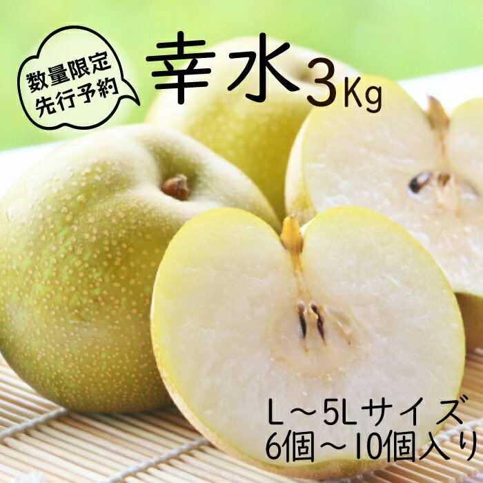 [先行予約]柴沼梨園の梨(幸水)3kg