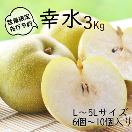 【先行予約】柴沼梨園の梨（幸水）3kg
