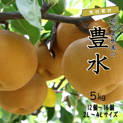 【先行受付】梨 豊水 5kg 2L～4L 12～16個 柳原果樹園