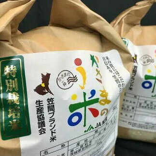 コシヒカリ 3kg×2袋 かさまのう米 笠間産特別栽培米