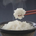 【ふるさと納税】R-8 笠間市特選コシヒカリ米（白米） 10kg