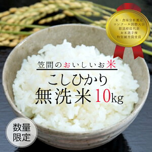 【ふるさと納税】 コシヒカリ 無洗米 10kg 令和5年度米