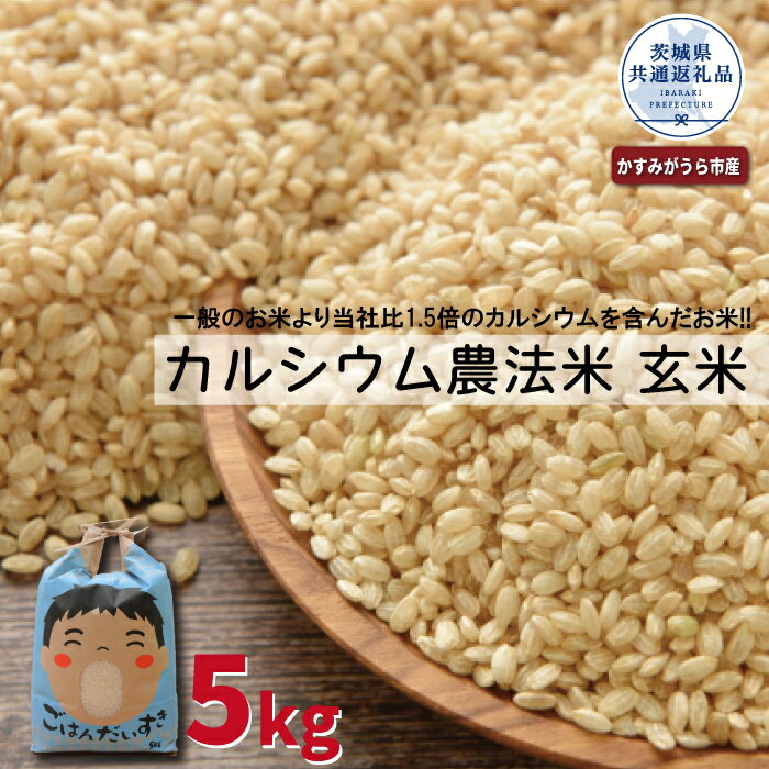 【ふるさと納税】玄米 5kg カルシウム農法米（茨城県共通返礼品・かすみがうら市産）