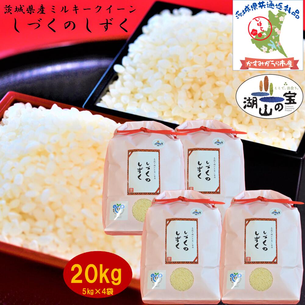 【ふるさと納税】＼農家直送！出荷日精米／茨城県ミルキークイーンしづくのしずく20kg(5kg×4袋)（茨城県共通返礼品・かすみがうら市産）のサムネイル