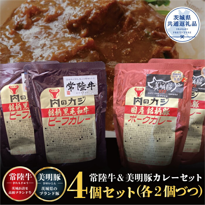 【ふるさと納税】カレー 常陸牛 2パック 美明豚カレー2パッ