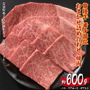 【ふるさと納税】 常陸牛 焼肉 約600g 希少部位おまかせ詰め合わせ 安達牧場