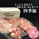 【ふるさと納税】四季豚　ドーンとまるごと味わえる1kgセット ローススライス カタスライス バラスライス ひき肉 カレー用 各200g