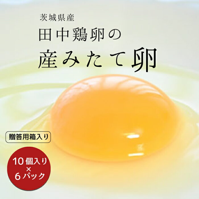 田中鶏卵の産みたて卵(60個)