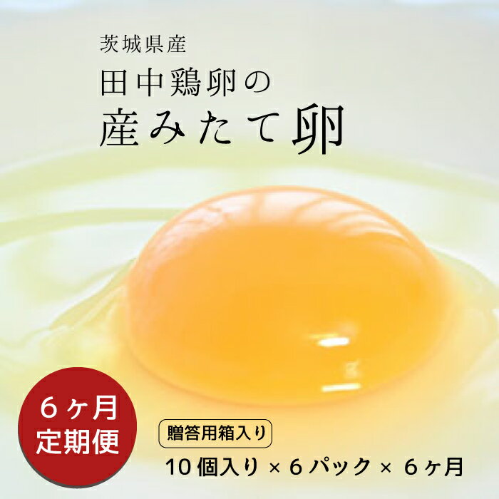 【ふるさと納税】【6ヶ月定期便】 田中鶏卵の産みたて卵（60個）