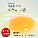 田中鶏卵では、飼料に外枠10％の飼料用モミ米を配合しております。 その為、卵黄食はやや薄くなり、味はさっぱりとした仕上がりになっております。 東京の有名菓子店でも使用されている自慢の逸品になります。 産み立てで新鮮な卵なので、そのまま食べていただくのもオススメですが、料理やお菓子作りなどにお使いいただいても大変美味しく召し上がれます。 30個づつ入った化粧箱入りなので、贈答用にも最適です。 毎日の食卓にワンランク上の卵はいかがでしょうか？ 提供：株式会社田中鶏卵 商品説明 名称 鶏卵(生食用) 内容量 10個入り×6パック×6ヶ月定期便 ※30個(3パック)づつ贈答用の箱に入れ、2箱、3ヶ月定期便にてお届けします。 ※サイズはMS〜LLサイズが入ったファミリーサイズになります。サイズにバラつきがございますので、ご了承ください。 産地名 茨城県 選別包装者 株式会社田中鶏卵　茨城県笠間市池野辺636-2 発送方法 冷蔵 賞味期限 製造日より2週間 ※届きましたらお早めにお召し上がりください。 保存方法 10℃以下で保存 注意事項 生食の場合は賞味期限内に使用し、賞味期限経過後は十分加熱調理してください。 ・ふるさと納税よくある質問はこちら ・寄付申込みのキャンセル、返礼品の変更・返品はできません。あらかじめご了承ください。田中鶏卵では、飼料に外枠10％の飼料用モミ米を配合しております。 その為、卵黄食はやや薄くなり、味はさっぱりとした仕上がりになっております。 東京の有名菓子店でも使用されている自慢の逸品になります。 産み立てで新鮮な卵なので、そのまま食べていただくのもオススメですが、料理やお菓子作りなどにお使いいただいても大変美味しく召し上がれます。 30個づつ入った化粧箱入りなので、贈答用にも最適です。 毎日の食卓にワンランク上の卵はいかがでしょうか？ 提供：株式会社田中鶏卵 「ふるさと納税」寄付金は、下記の事業を推進する資金として活用してまいります。 寄付を希望される皆さまの想いでお選びください。 (1)　まちづくり支援事業 (2)　子ども支援事業 (3)　芸術・文化支援事業 (4)　いずれの事業でもよい ご希望がなければ、市政全般に活用いたします。 入金確認後、注文内容確認画面の【注文者情報】に記載の住所にお送りいたします。 発送の時期は、寄付確認後翌月以内を目途に、お礼の特産品とは別にお送りいたします。