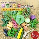 【ふるさと納税】オーガニック 有機 農薬なし ぽんがる有機農園 季節の野菜 詰め合わせ 5kg