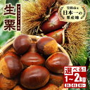 【ふるさと納税】【2025年 秋 先行予約】生栗 選べる サイズ(3L 4L 4L以上) 容量(1kg 2kg) アカツファーム 笠間の栗 超特大 サイズ メガマロン 大粒 くり 和栗 栗ご飯 栗きんとん 期間限定 数量限定 旬の味覚 マロン 国産 笠間市